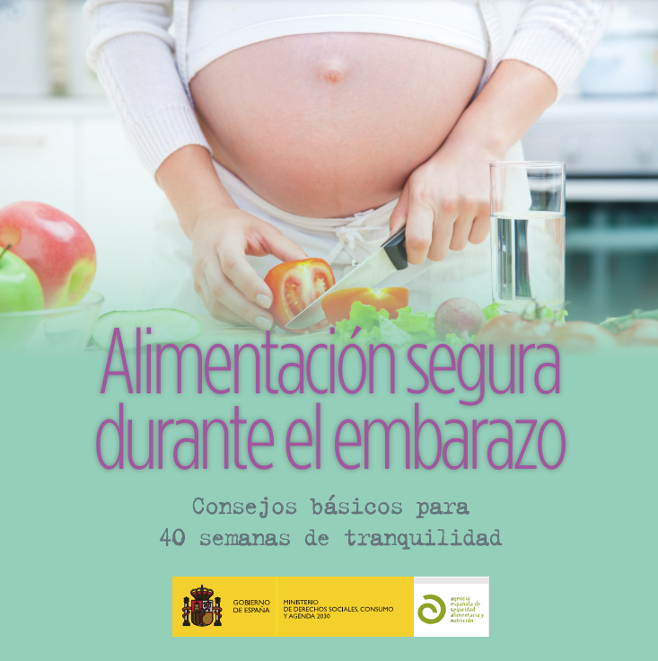 Alimentación segura durante el embarazo (cartel)