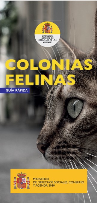 Colonias felinas guía rápida