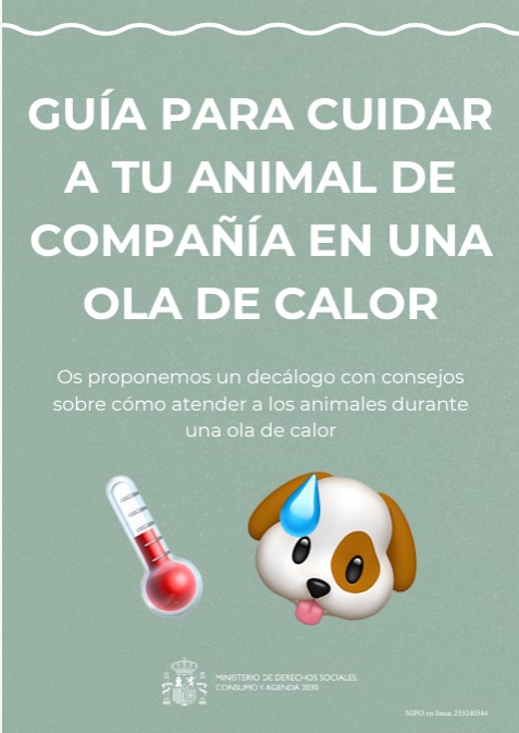 Guía para cuidar a tu animal de compañía en una ola de calor